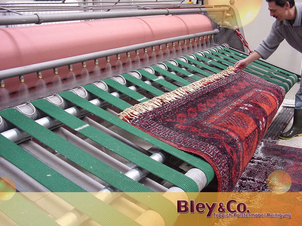 Bley & Co. Teppichreinigung & Polsterreinigung Berlin