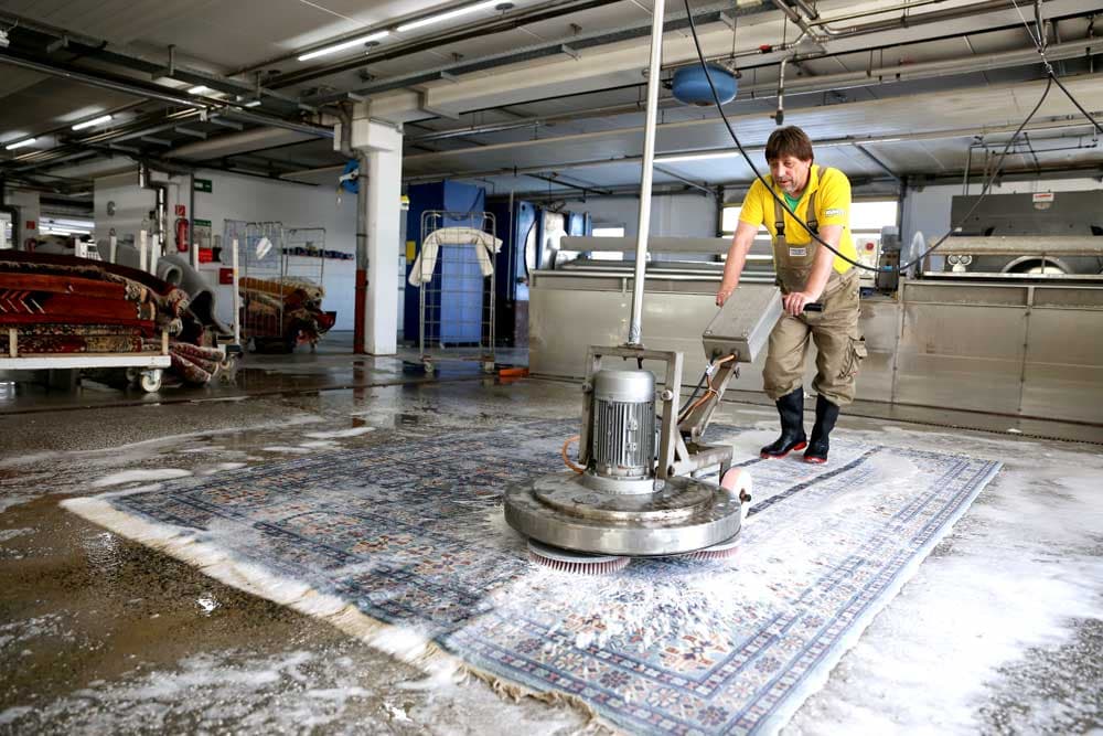 RUNTE Teppichreinigung GmbH Frankfurt
