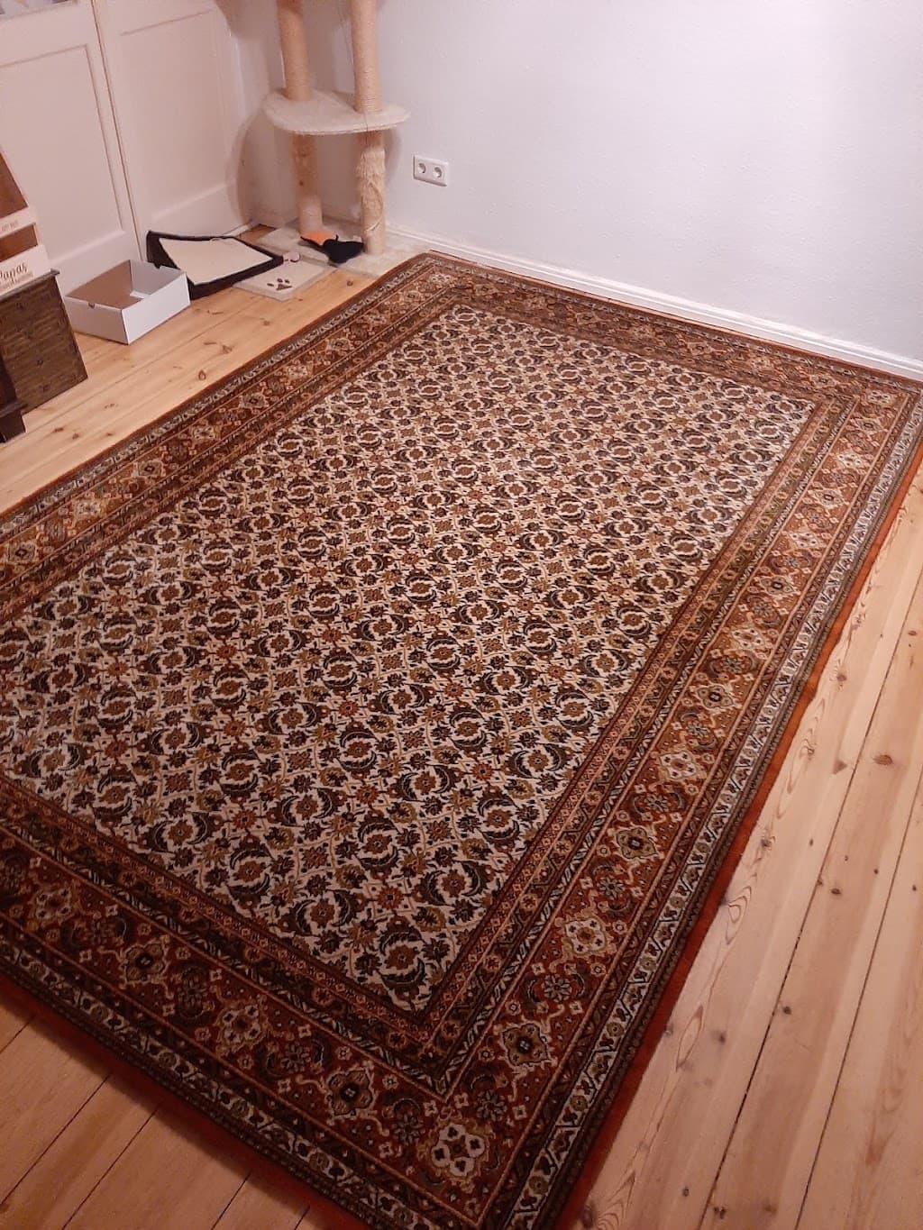 Temiz Clean Polsterreinigung