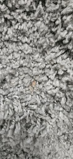Temiz Clean Polsterreinigung — Kundenfoto