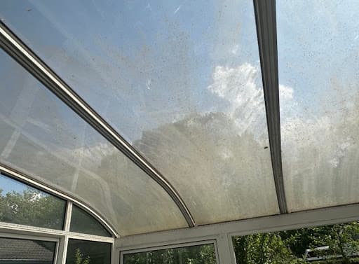 Die Fensterputzer Berlin - Sven Clemens — Kundenfoto