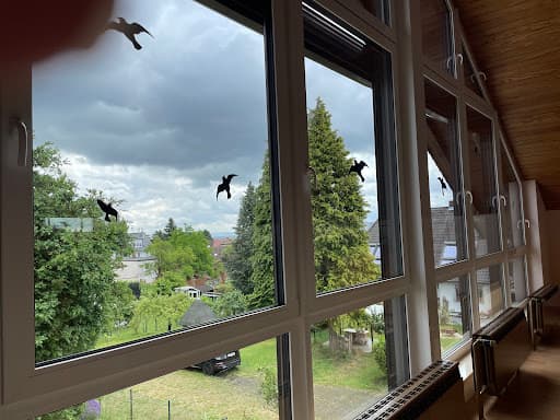 KlaRein Glas-und Gebäudereinigung — Kundenfoto