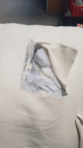 Garant Teppichreinigung GmbH — Kundenfoto