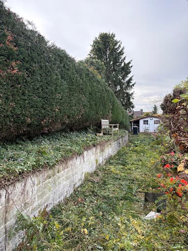 Rein & Natur Service Gebäudereinigung Aachen — Kundenfoto