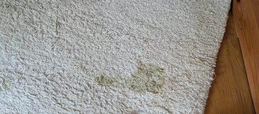Mars Teppichreinigung München Giesing — Kundenfoto