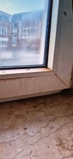 Fensterreinigung Vaupel — Kundenfoto