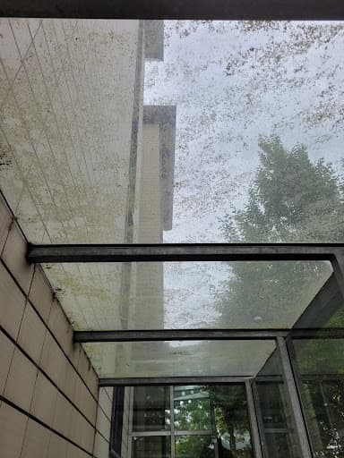 ALD Fensterputzer Hamburg — Kundenfoto