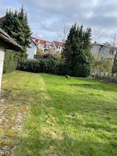 Dafir Service GmbH Gebäudereinigung — Kundenfoto