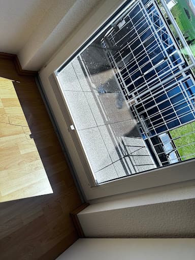 Mozaik Gebäudereinigung Dresden — Kundenfoto